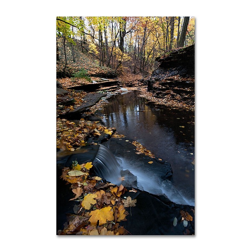 Trademark Kurt Shaffer "Autumn Stream" Gallery-Wrapped Canvas Art, 16" x 24" image 1