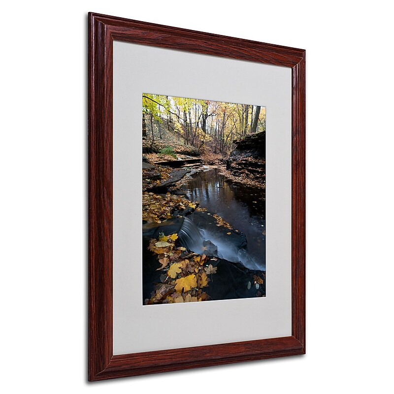 Trademark Kurt Shaffer "Autumn Stream" Art, White Matte With Wood Frame, 16" x 20" image 1