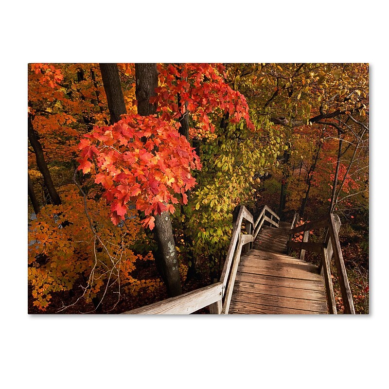Trademark Kurt Shaffer "Brilliant Autumn Stairway" Gallery-Wrapped Canvas Art, 18" x 24" image 1