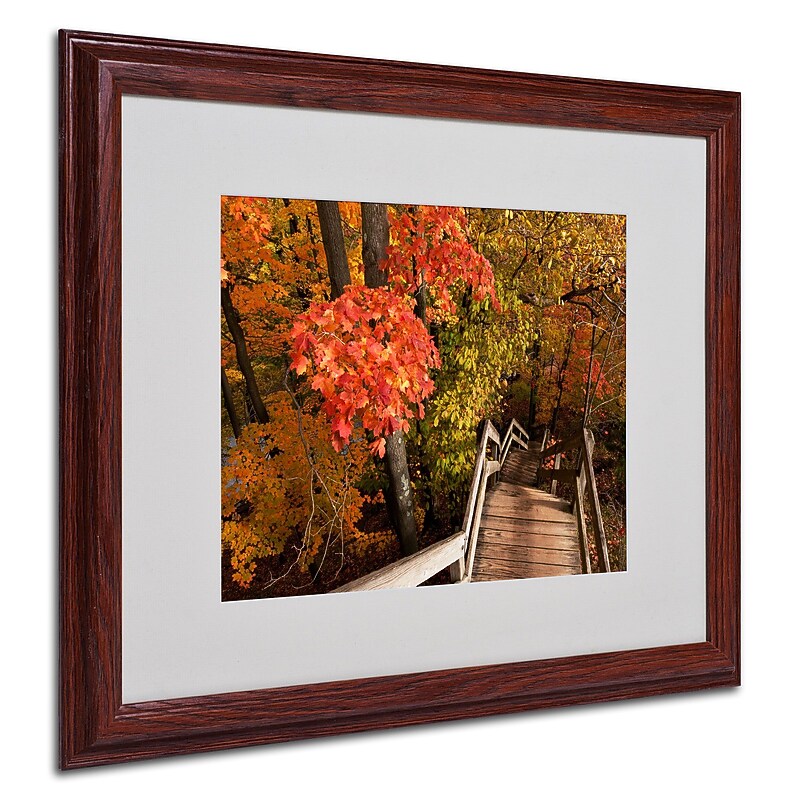Trademark Kurt Shaffer "Brilliant Autumn Stairway" Art, White Matte With Wood Frame, 16" x 20" image 1