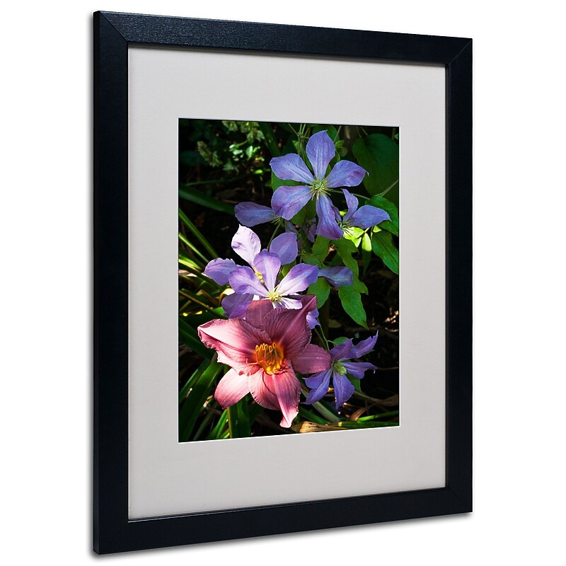 Trademark Kurt Shaffer "Clematis and Lily" Art, White Matte With Black Frame, 16" x 20" image 1