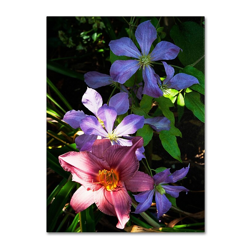 Trademark Kurt Shaffer "Clematis and Lily" Gallery-Wrapped Canvas Art, 14" x 19" image 1