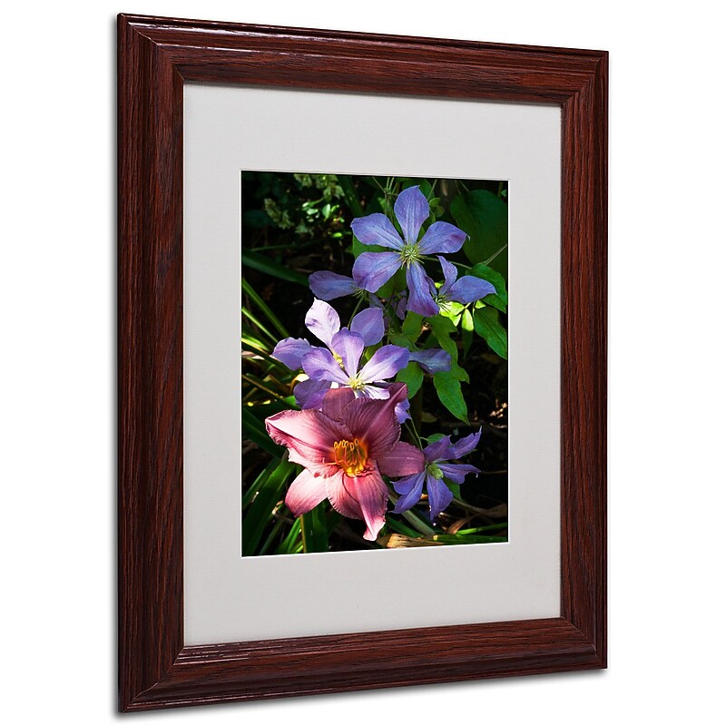 Trademark Kurt Shaffer "Clematis and Lily" Art, White Matte With Wood Frame, 11" x 14" image 1