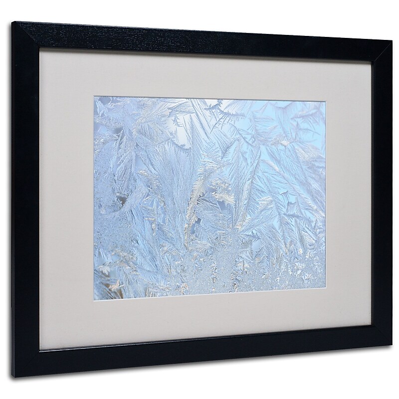 Trademark Kurt Shaffer "Frost Pattern #3" Art, White Matte With Black Frame, 16" x 20" image 1