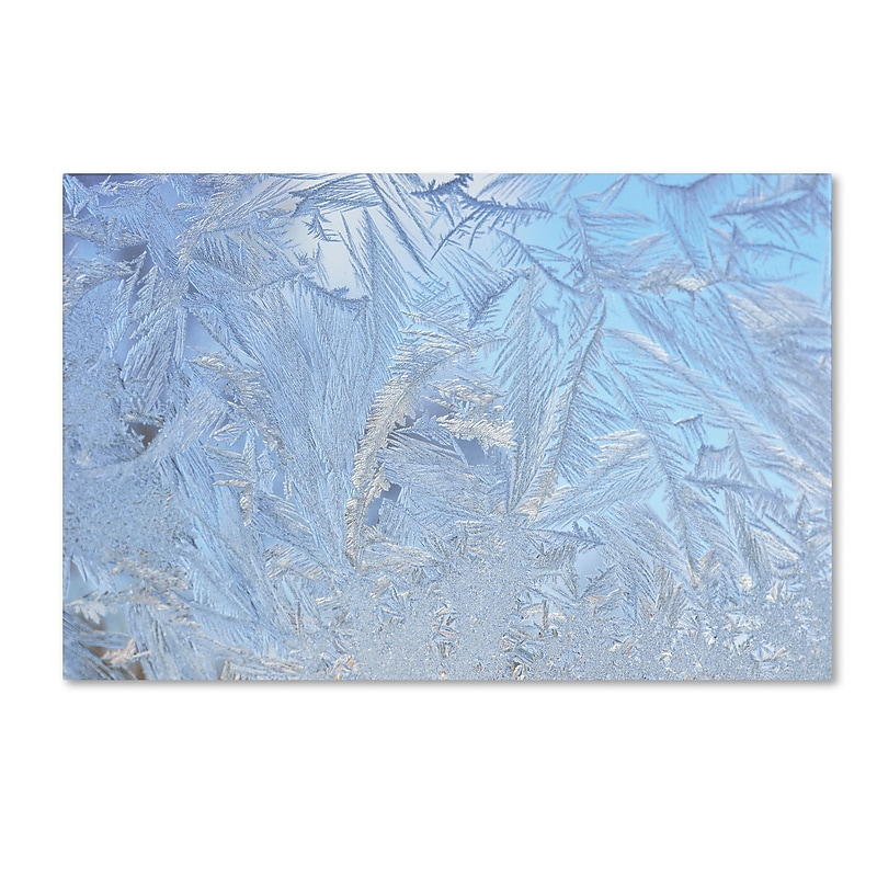 Trademark Kurt Shaffer "Frost Pattern #3" Gallery-Wrapped Canvas Art, 12" x 19" image 1