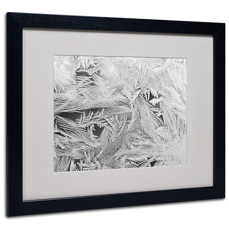 Trademark Kurt Shaffer "Frost Pattern #4" Art, White Matte With Black Frame, 16" x 20" image 1