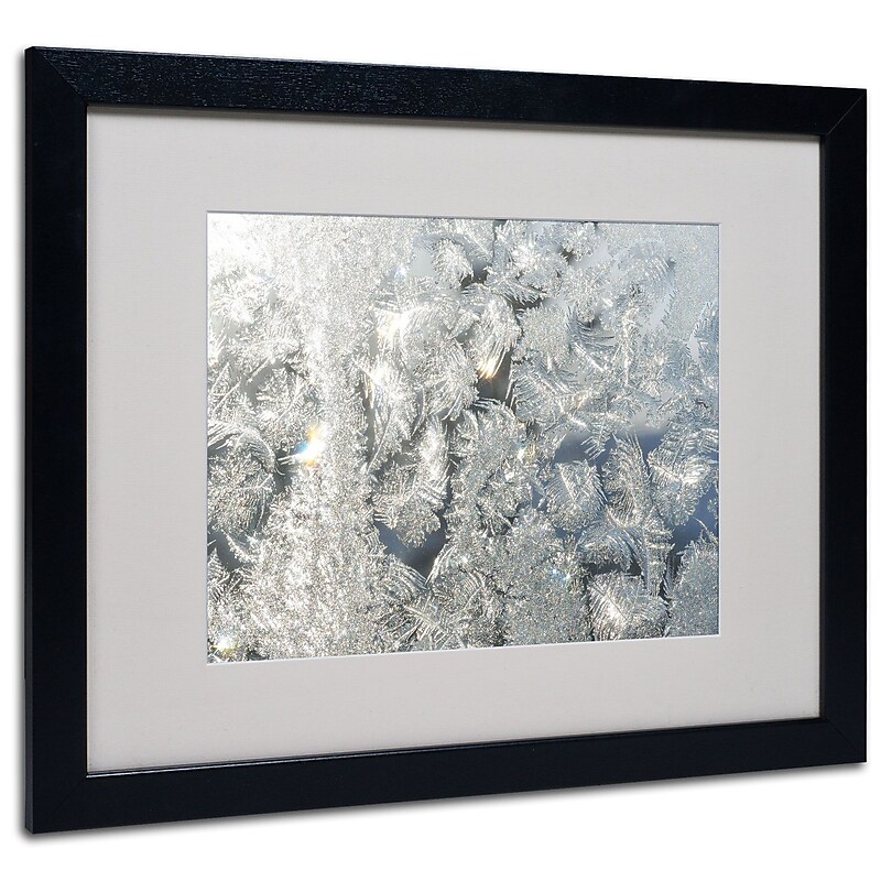 Trademark Kurt Shaffer "Frost Pattern in the Sun" Art, White Matte With Black Frame, 16" x 20" image 1