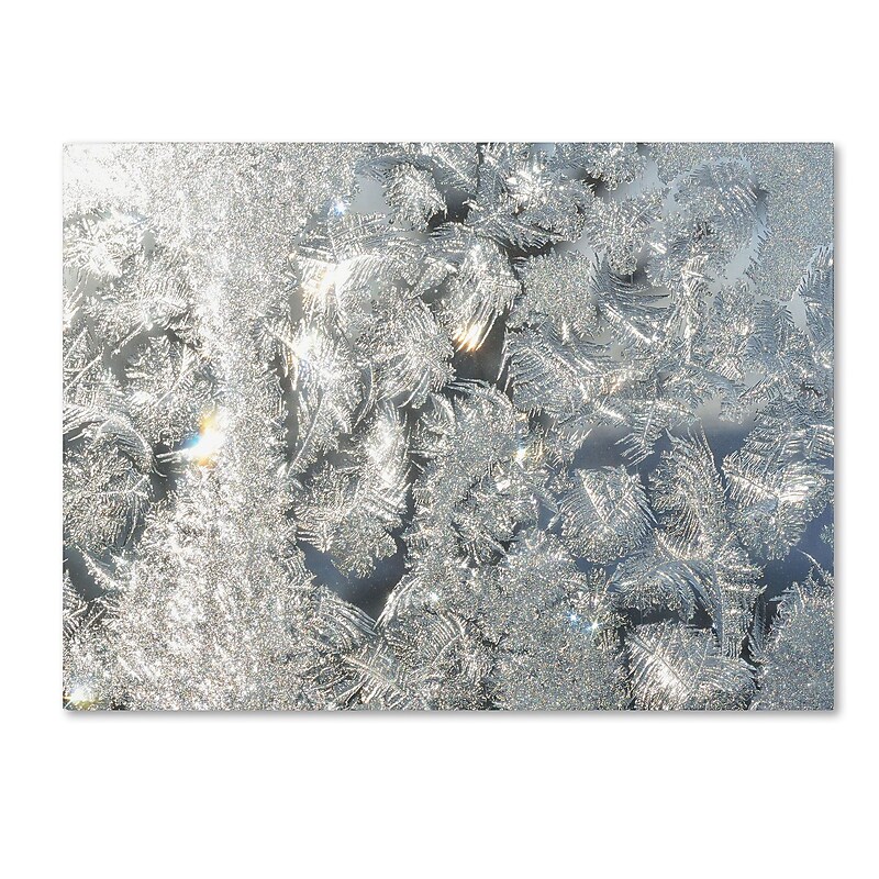 Trademark Kurt Shaffer "Frost Pattern in the Sun" Gallery-Wrapped Canvas Art, 14" x 19" image 1