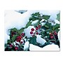 Trademark Kurt Shaffer "Holly in the Snow" Gallery-Wrapped Canvas Art, 18" x 24"~#|#~m001698236_sc7