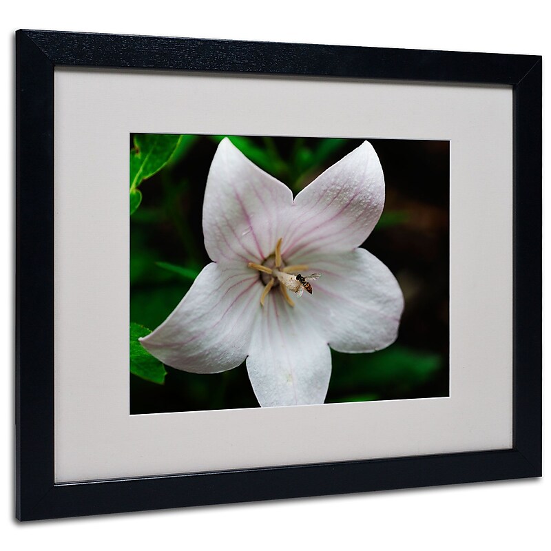 Trademark Kurt Shaffer "Irridesence" Art, White Matte With Black Frame, 16" x 20" image 1