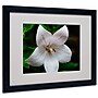 Trademark Kurt Shaffer "Irridesence" Art, White Matte With Black Frame, 16" x 20"~#|#~m001698260_sc7