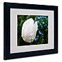 Trademark Kurt Shaffer "White Parrot Tulip II" Art, White Matte With Black Frame, 11" x 14"~#|#~m001698314_sc7