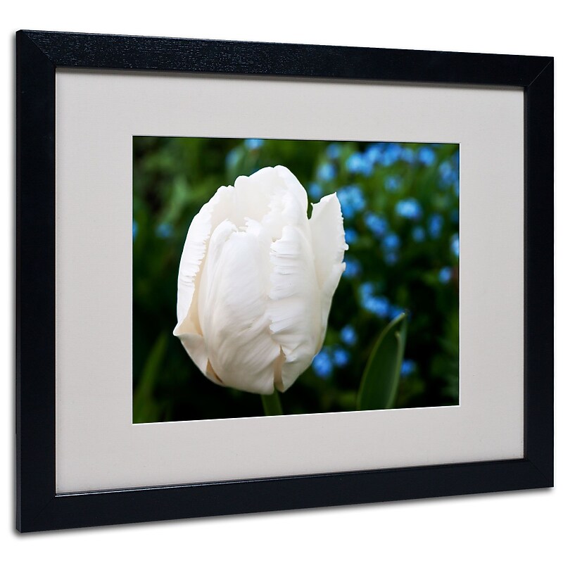 Trademark Kurt Shaffer "White Parrot Tulip II" Art, White Matte With Black Frame, 16" x 20" image 1