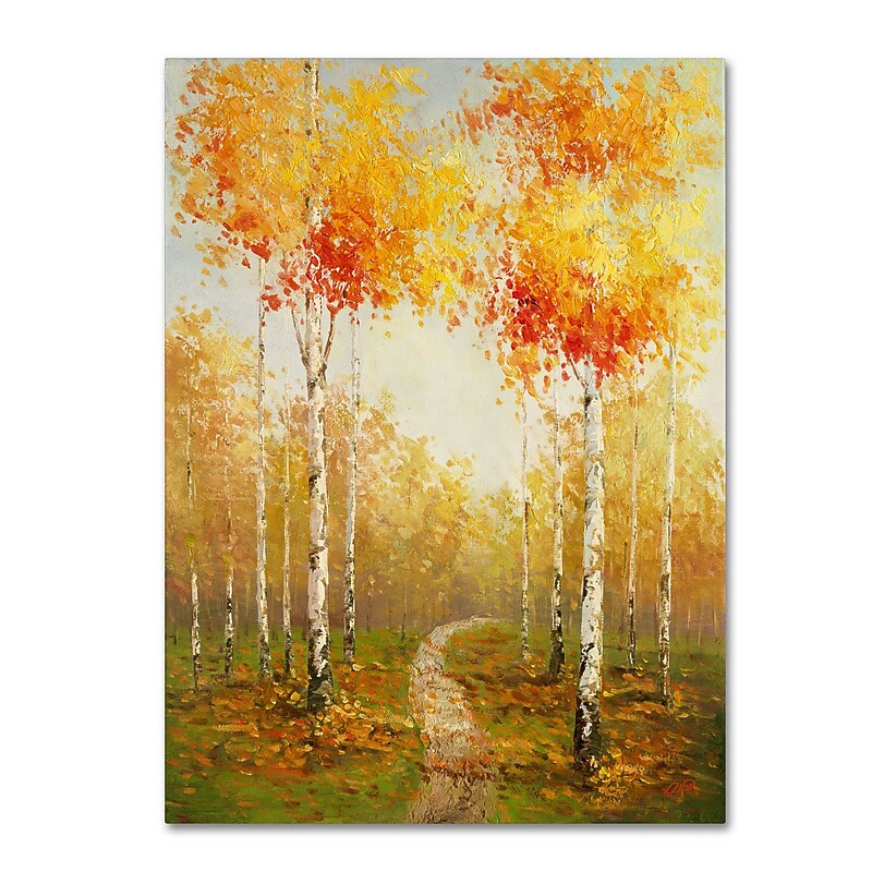 Trademark Rio "On the Way to Aspen" Gallery-Wrapped Canvas Art, 35" x 47" image 1