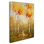 Trademark Rio "On the Way to Aspen" Gallery-Wrapped Canvas Art, 35" x 47"~#|#~m001698493_sc7