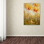 Trademark Rio "On the Way to Aspen" Gallery-Wrapped Canvas Art, 35" x 47"~#|#~m001698494_sc7