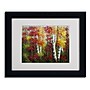 Trademark Rio "Indian Summer" Art, White Matte With Black Frame, 11" x 14"~#|#~m001698595_sc7