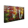 Trademark Rio "Indian Summer" Gallery-Wrapped Canvas Art, 16" x 24"~#|#~m001698600_sc7