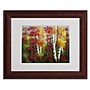 Trademark Rio "Indian Summer" Art, White Matte With Wood Frame, 11" x 14"~#|#~m001698603_sc7