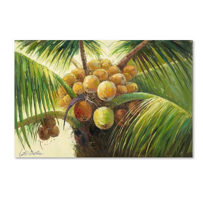 Trademark Victor Giton "Coconut Palm II" Gallery-Wrapped Canvas Art, 30" x 47" image 1