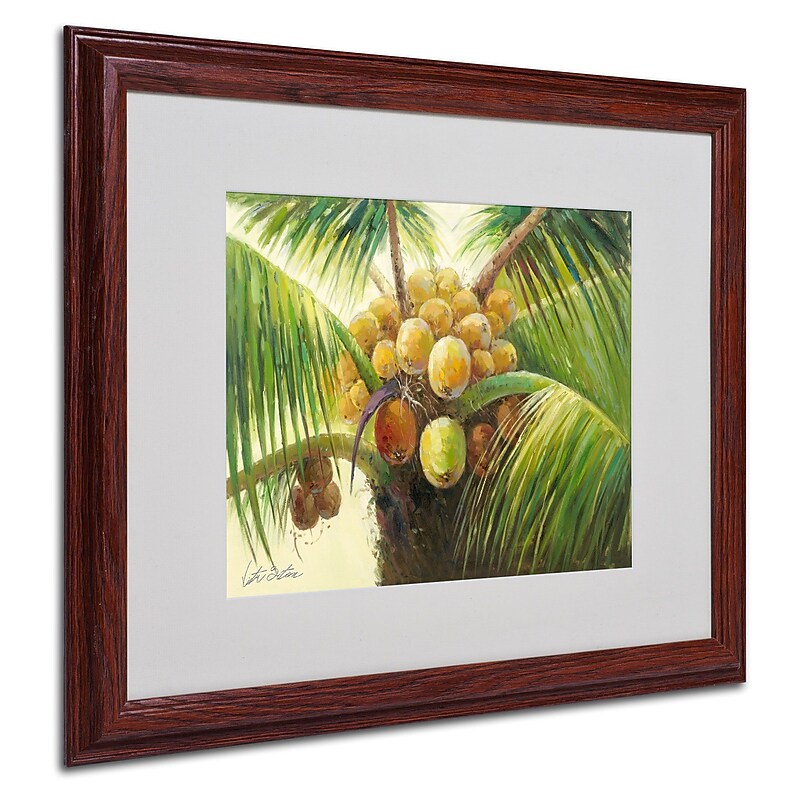Trademark Victor Giton "Coconut Palm II" Art, White Matte With Wood Frame, 16" x 20" image 1
