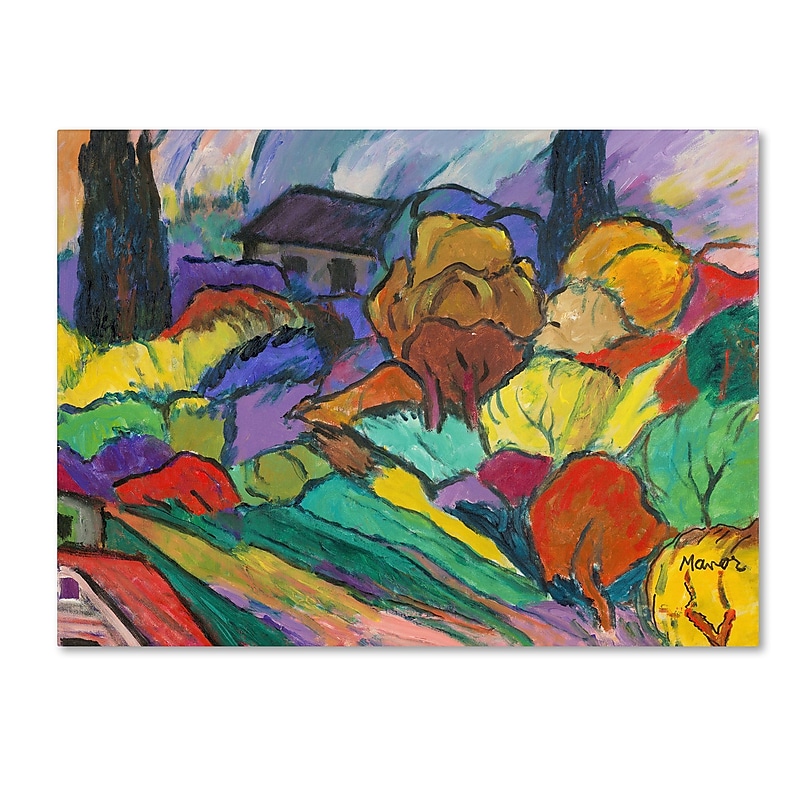 Trademark Manor Shadian "Rainbow Forest" Gallery-Wrapped Canvas Art, 24" x 32" image 1