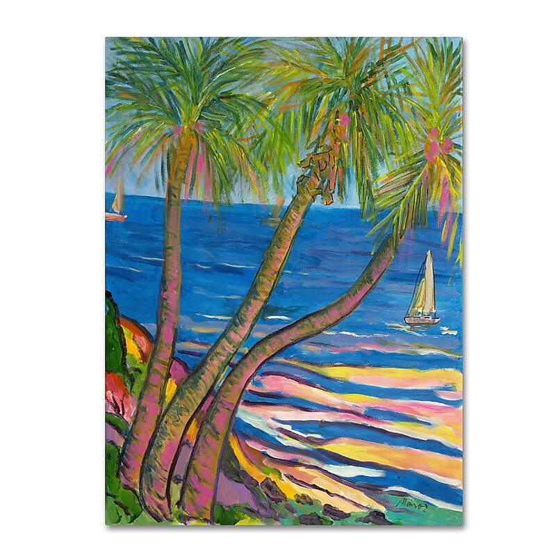Trademark Manor Shadian "Three Coconut Palms" Gallery-Wrapped Canvas Art, 18" x 24" image 1