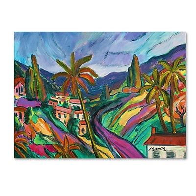 Trademark Manor Shadian "Swept Slopes" Gallery-Wrapped Canvas Art, 14" x 19"