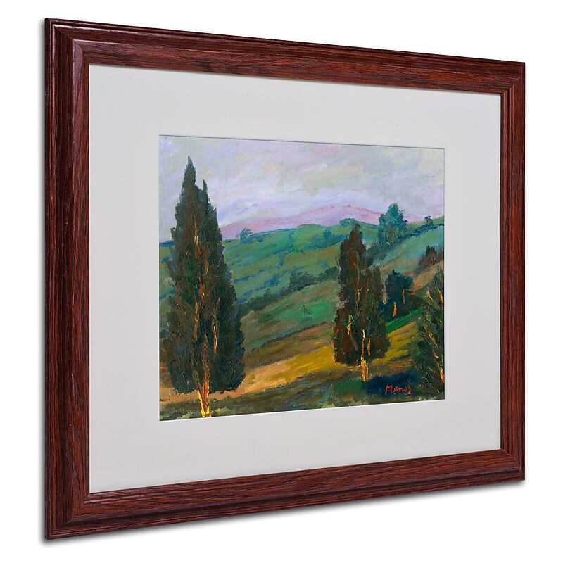 Trademark Manor Shadian "Evergreens on Green..." Art, White Matte W/Wood Frame, 16" x 20" image 1