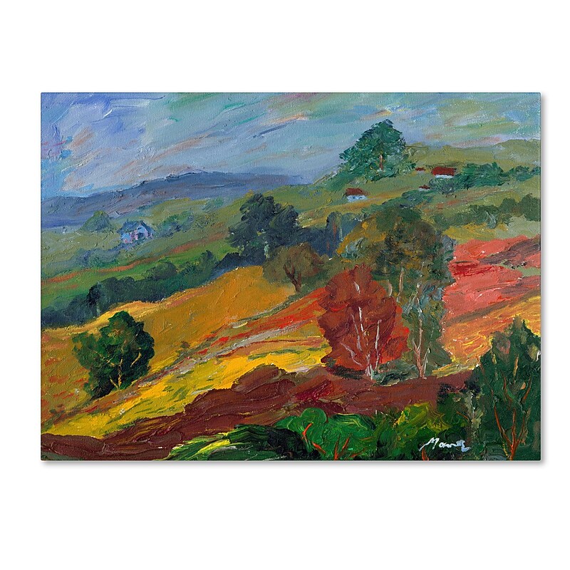 Trademark Manor Shadian "Napa 2" Gallery-Wrapped Canvas Art, 35" x 47" image 1