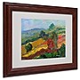 Trademark Manor Shadian "Napa 2" Art, White Matte W/Wood Frame, 11" x 14"~#|#~m001698839_sc7