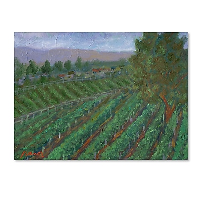 Trademark Manor Shadian "Sonoma Valley" Gallery-Wrapped Canvas Art, 14" x 19"