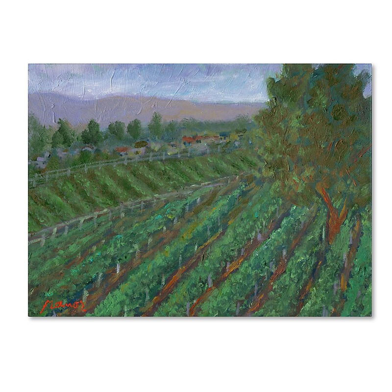 Trademark Manor Shadian "Sonoma Valley" Gallery-Wrapped Canvas Art, 14" x 19" image 1
