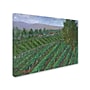 Trademark Manor Shadian "Sonoma Valley" Gallery-Wrapped Canvas Art, 14" x 19"~#|#~m001698850_sc7