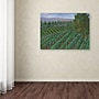Trademark Manor Shadian "Sonoma Valley" Gallery-Wrapped Canvas Art, 14" x 19"~#|#~m001698851_sc7