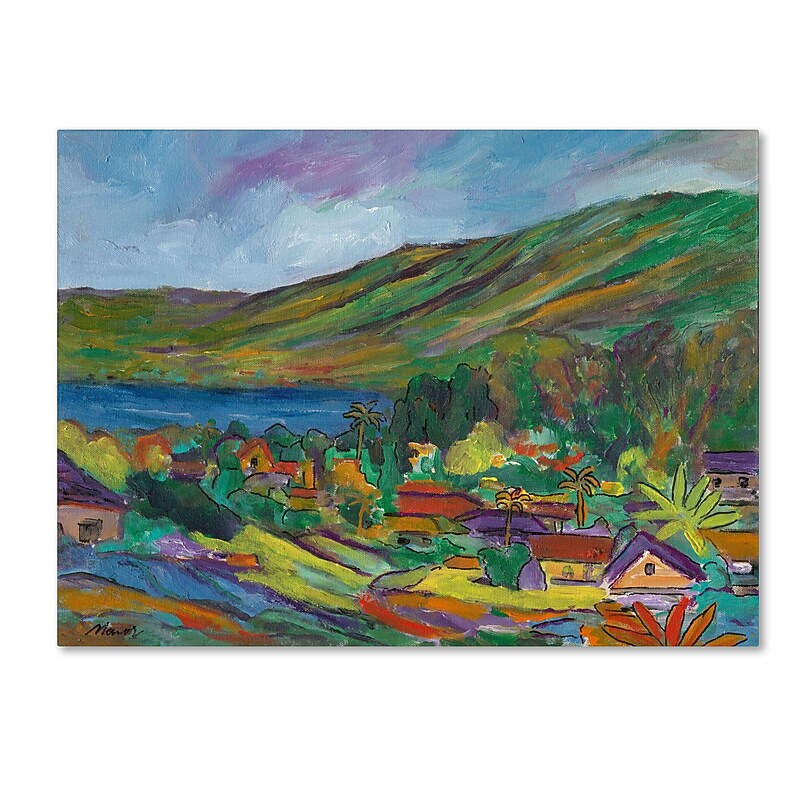 Trademark Manor Shadian "Hana Bay" Gallery-Wrapped Canvas Art, 35" x 47" image 1