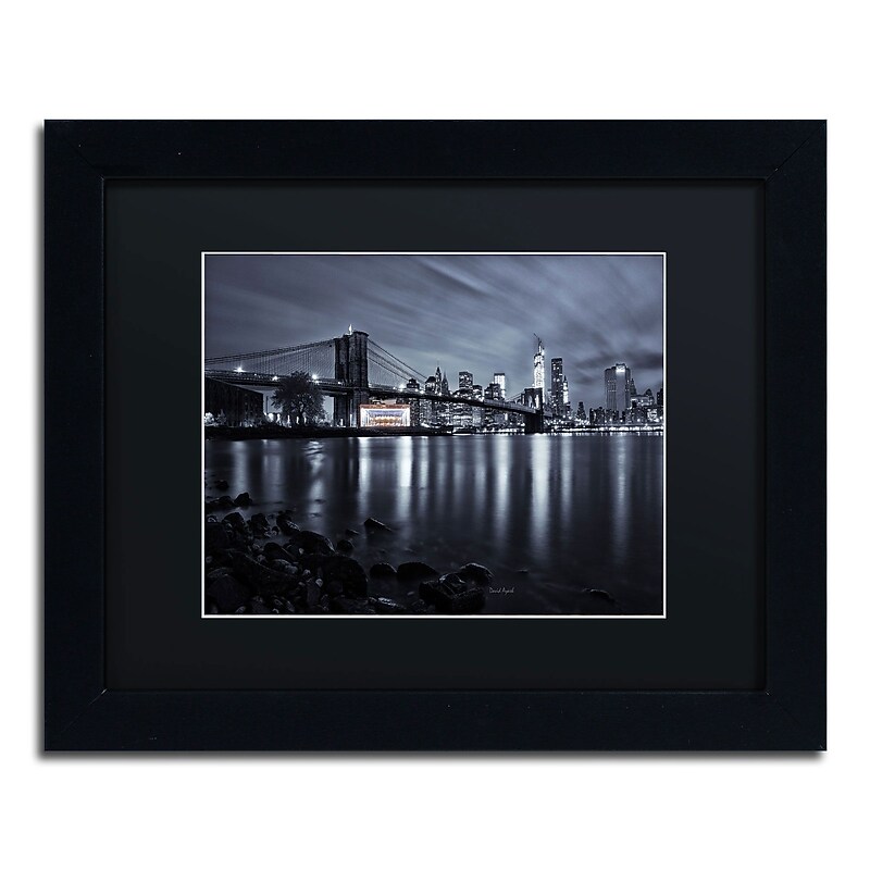 Trademark David Ayash "Jane"s Carousel, Brooklyn Bridge" Art, Black Matte W/Black Frame, 11" x 14" image 1