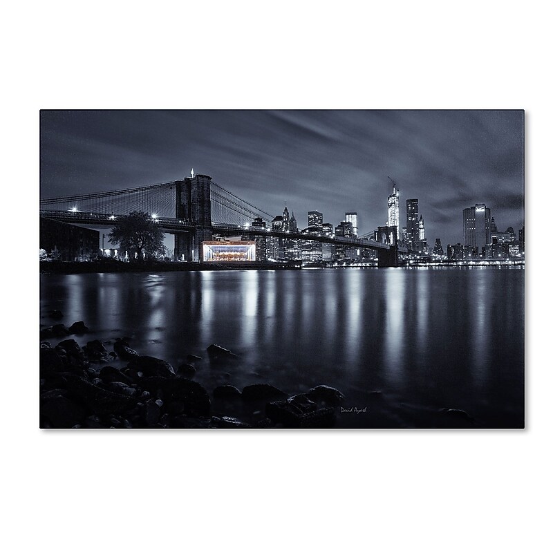 Trademark David Ayash "Jane's Carousel, Brooklyn Bridge" Gallery-Wrapped Canvas Art, 30" x 47" image 1