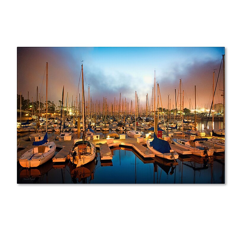 Trademark David Ayash "Marina Del Rey - Southern California" Gallery-Wrapped Canvas Art, 16" x 24" image 1