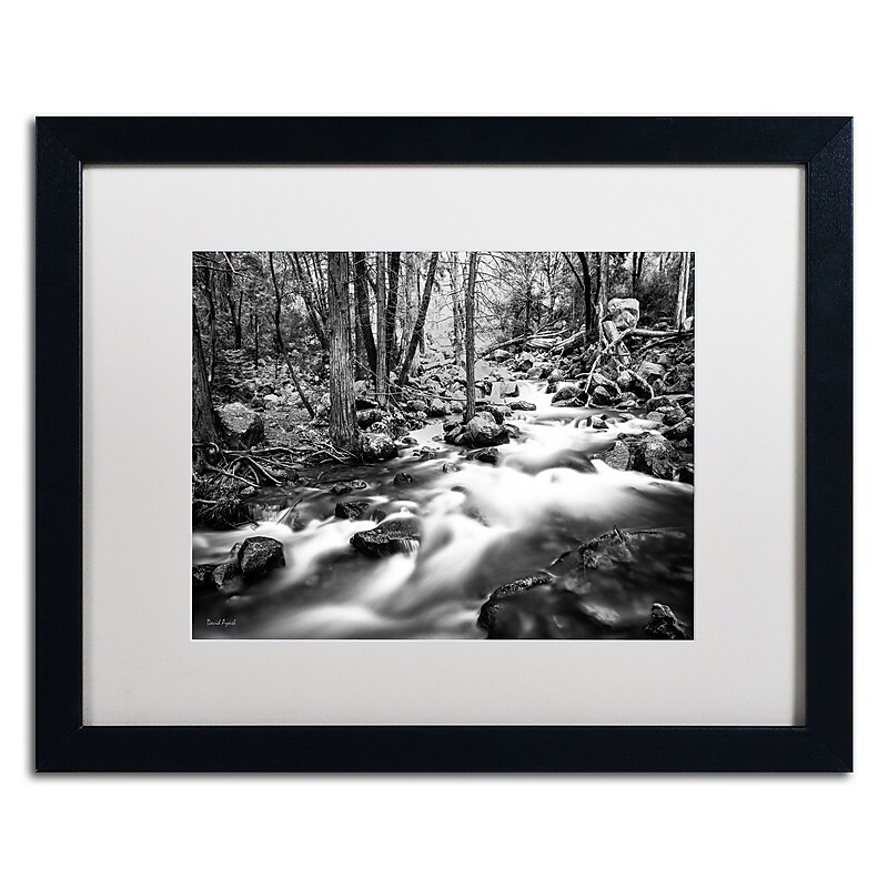 Trademark David Ayash "Yosemite...California-I" Art, White Matte With Black Frame, 16" x 20" image 1