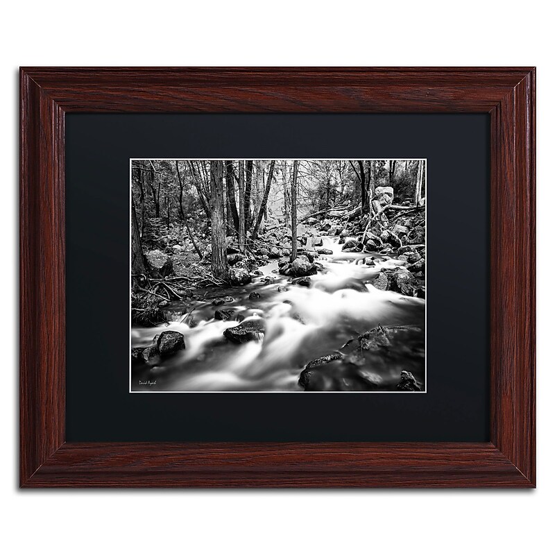 Trademark David Ayash "Yosemite...California-I" Art, Black Matte With Wood Frame, 11" x 14" image 1
