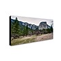 Trademark David Ayash "Yosemite National Park - California-II" Gallery-Wrapped Canvas Art, 24" x 47"~#|#~m001699373_sc7