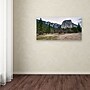 Trademark David Ayash "Yosemite National Park - California-II" Gallery-Wrapped Canvas Art, 24" x 47"~#|#~m001699374_sc7