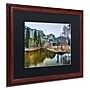 Trademark David Ayash "Yosemite...California-III" Art, Black Matte With Wood Frame, 16" x 20"~#|#~m001699393_sc7