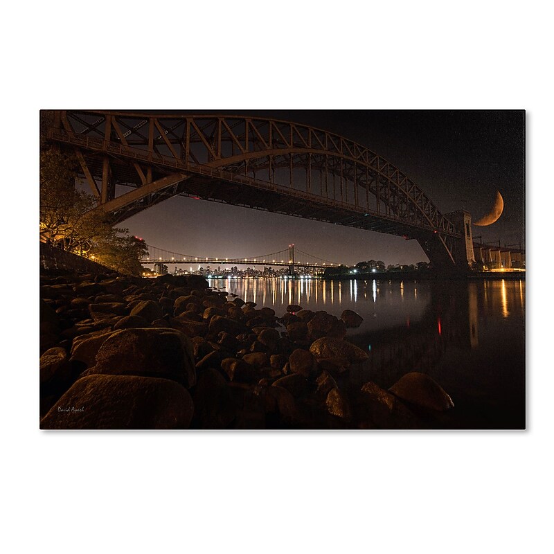 Trademark David Ayash "Hells Gate and RFK Bridge - NYC" Gallery-Wrapped Canvas Art, 22" x 32" image 1