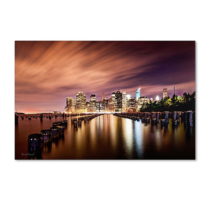 Trademark David Ayash "Brooklyn Bridge Park and... - V" Gallery-Wrapped Canvas Art, 12" x 19" image 1
