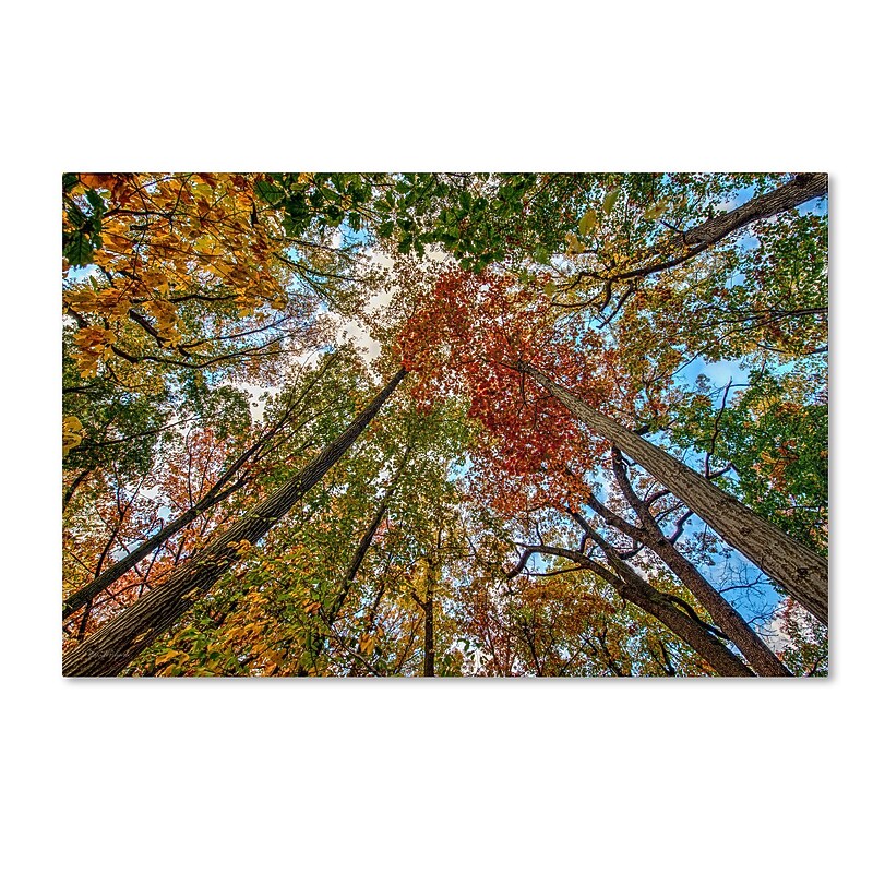 Trademark David Ayash "New York Fall-I" Gallery-Wrapped Canvas Art, 12" x 19" image 1