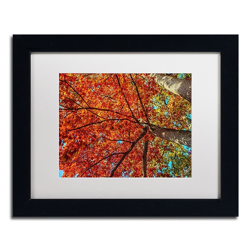 Trademark David Ayash "New York Fall-II" Art, White Matte With Black Frame, 11" x 14" image 1