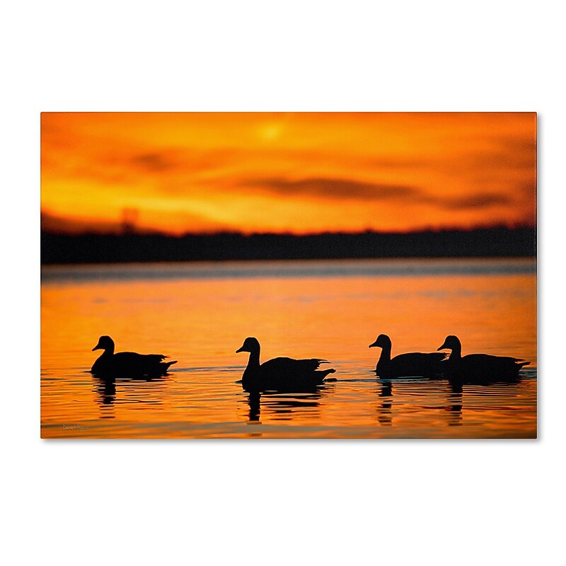 Trademark David Ayash "Jamaica Bay Sunset - NYC II" Gallery-Wrapped Canvas Art, 16" x 24" image 1