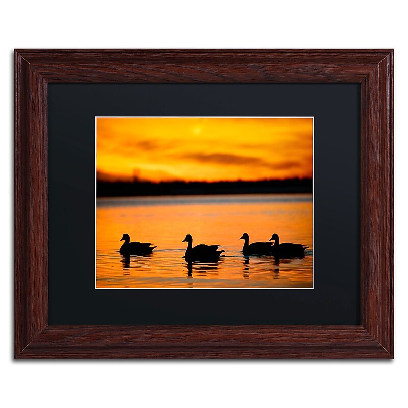 Trademark David Ayash "Jamaica Bay Sunset - NYC II" Art, Black Matte With Wood Frame, 11" x 14" image 1